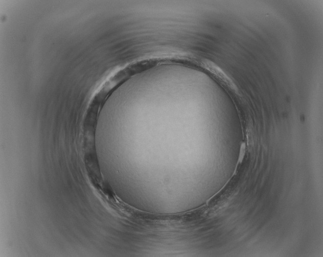 X0000068740436200605262054