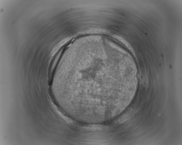 X0000068740437200605262054