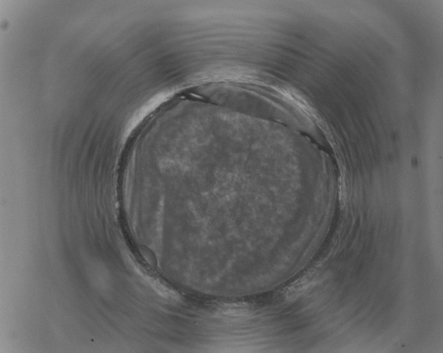 X0000068740438200605262055