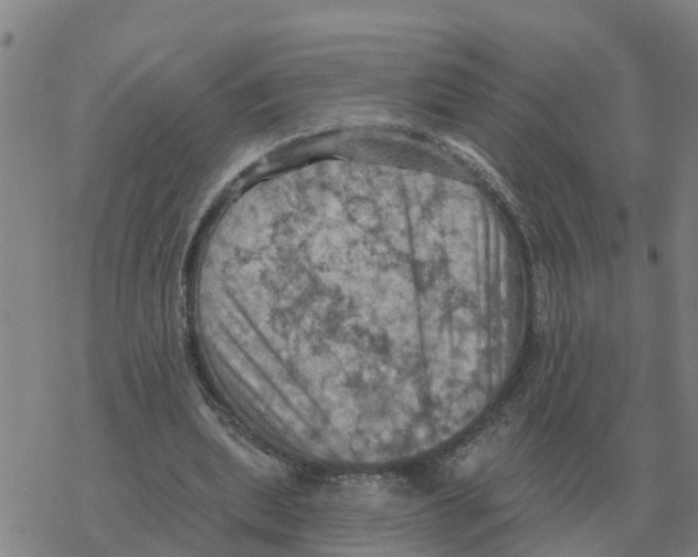 X0000068740439200605262055