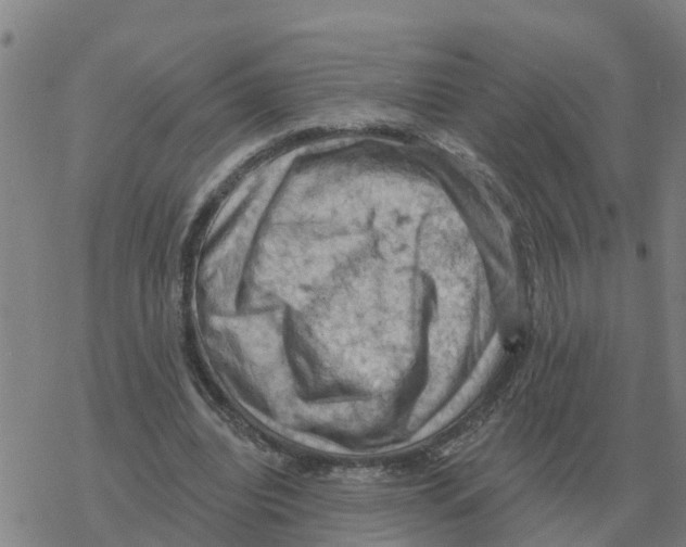 X0000068740440200605262055