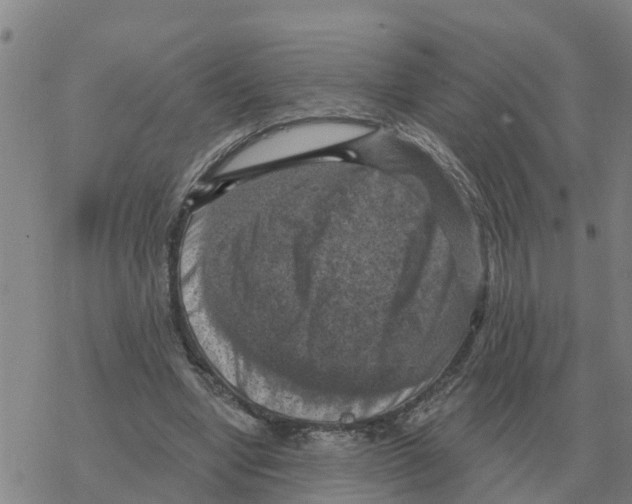 X0000068740442200605262055