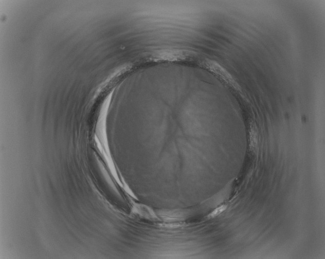 X0000068740444200605262055