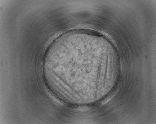 X0000068740445200605262055