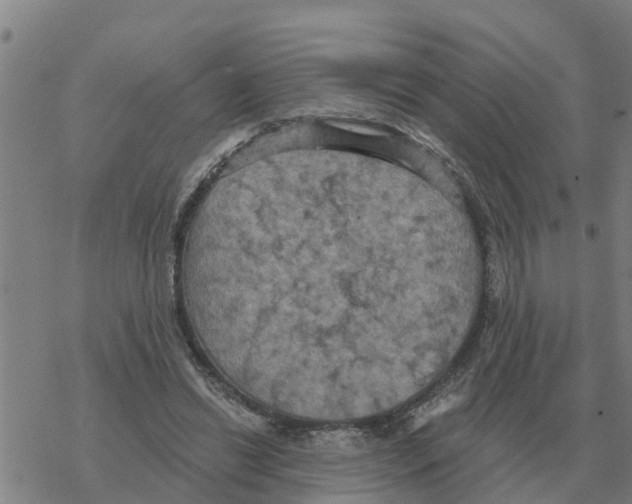 X0000068740446200605262055