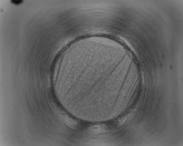 X0000068740447200605262055