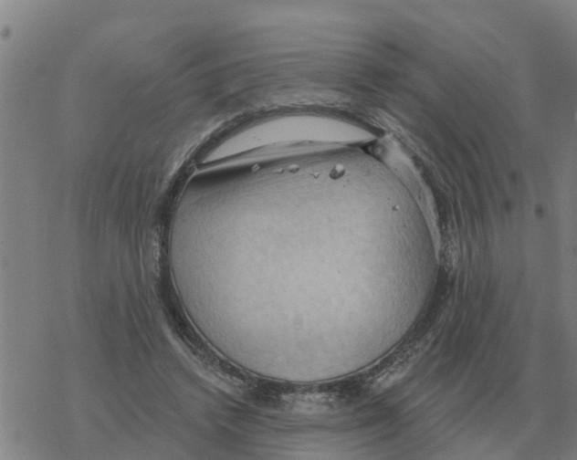 X0000068740448200605262055