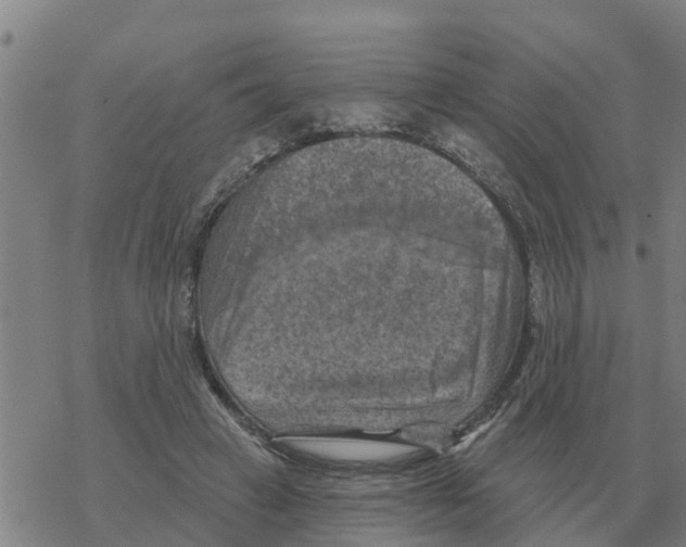 X0000068740449200605262055