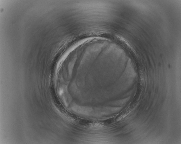 X0000068740451200605262055