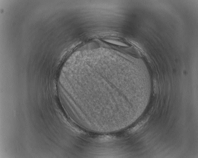 X0000068740453200605262055