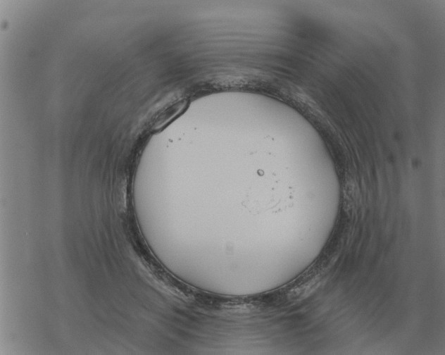 X0000068740454200605262055