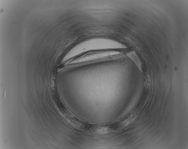 X0000068740456200605262055