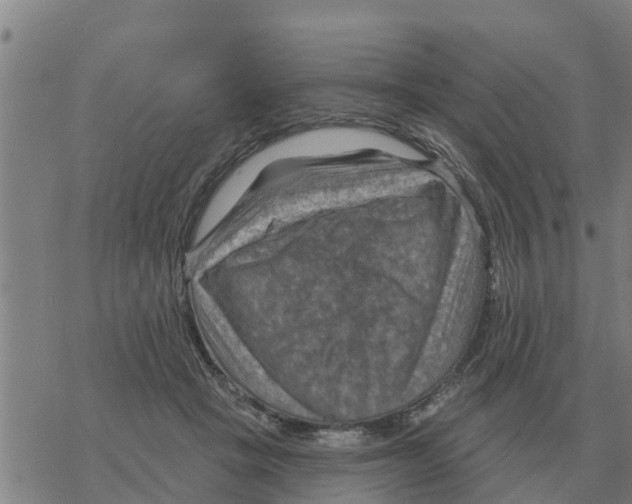 X0000068740457200605262055