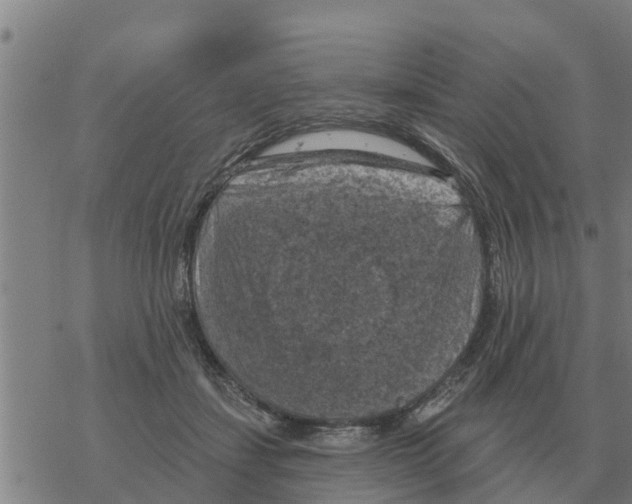 X0000068740459200605262055