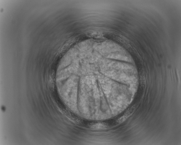 X0000068740460200605262055