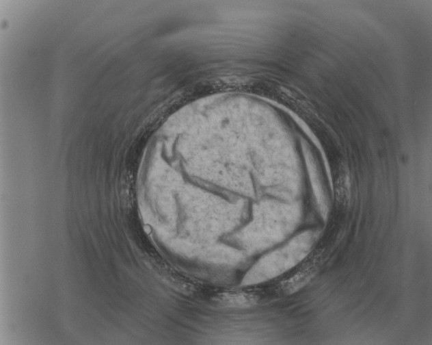 X0000068740464200605262055