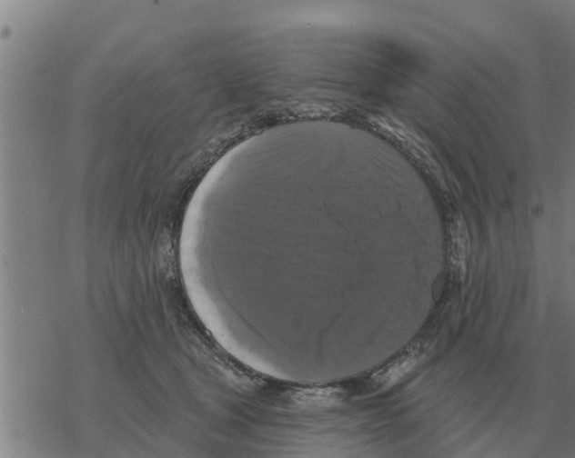 X0000068740465200605262055