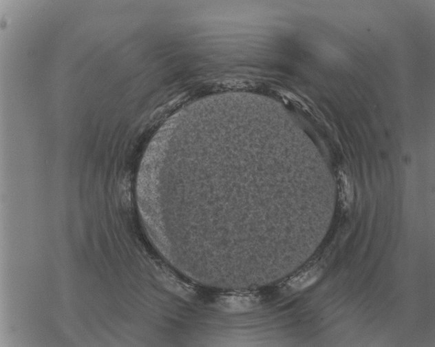 X0000068740466200605262055