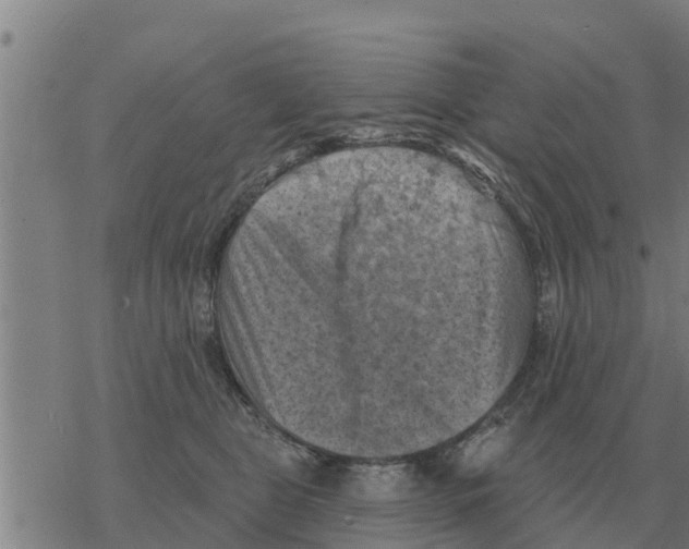 X0000068740469200605262055