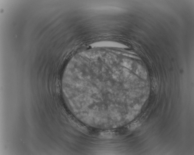 X0000068740470200605262055