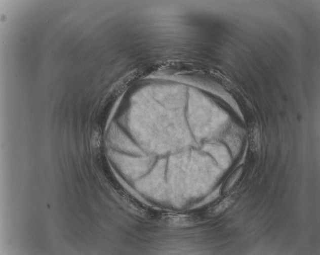 X0000068740472200605262055