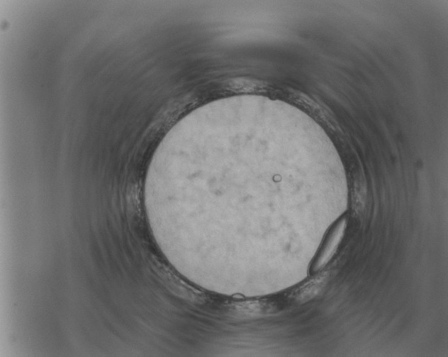 X0000068740473200605262055