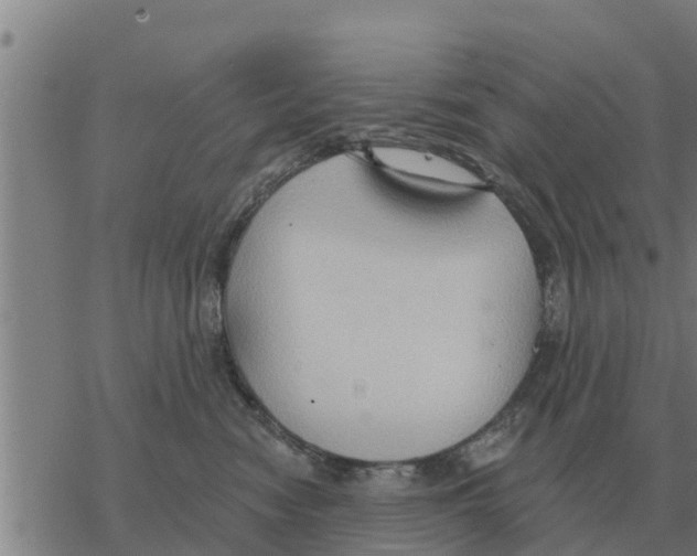 X0000068740474200605262055