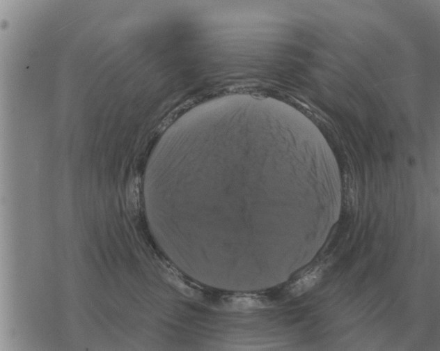 X0000068740475200605262055