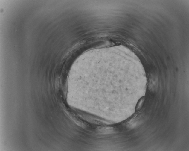 X0000068740476200605262055