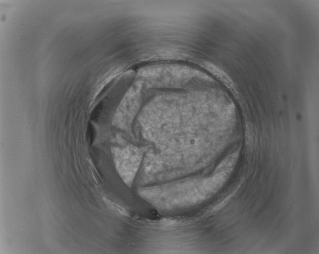 X0000068740481200605262054