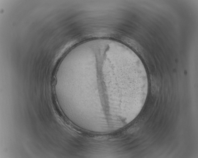 X0000068740482200605262054