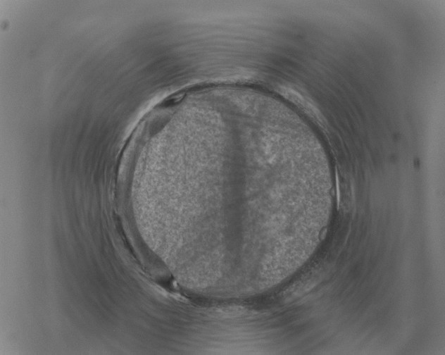 X0000068740483200605262054