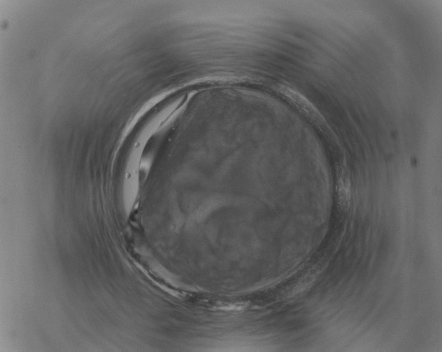 X0000068740484200605262054