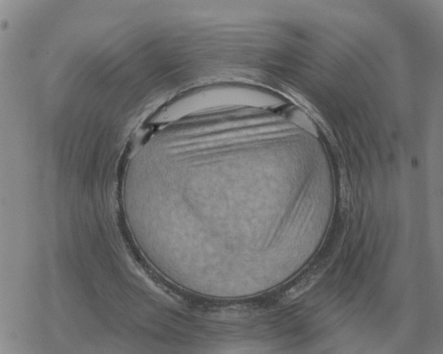 X0000068740485200605262054