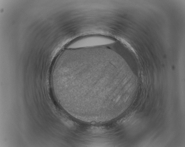 X0000068740487200605262054