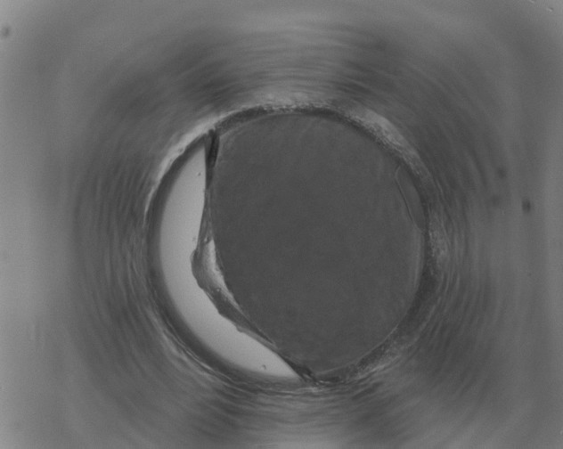 X0000068740488200605262054