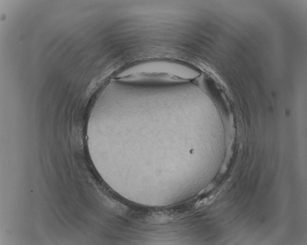 X0000068740489200605262054