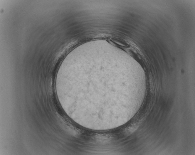 X0000068740490200605262054