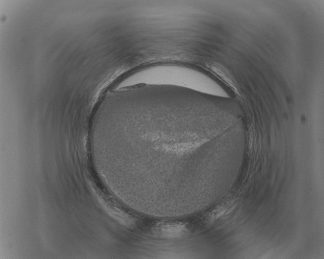 X0000068740491200605262054