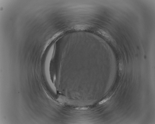 X0000068740492200605262054