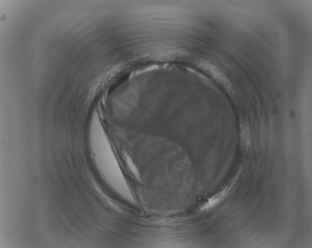 X0000068740493200605262054