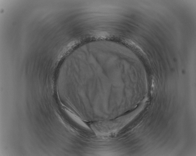 X0000068740496200605262054