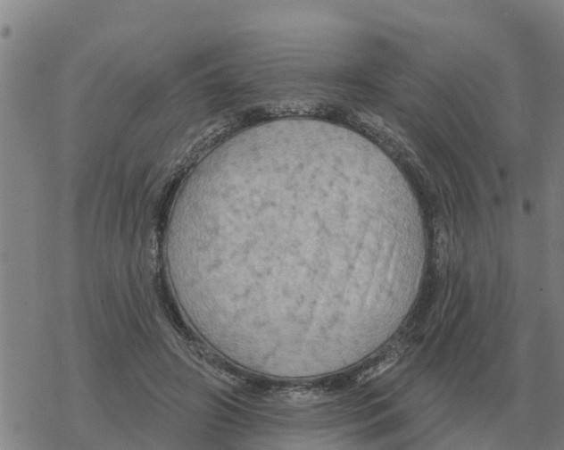 X0000068740498200605262054