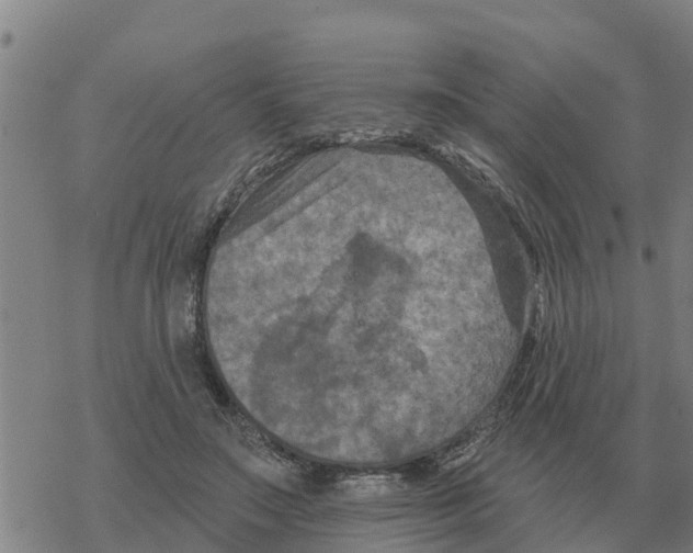 X0000068740499200605262054