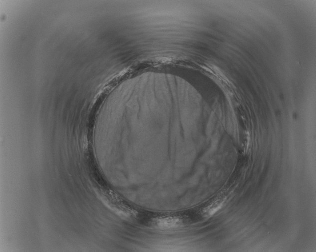 X0000068740500200605262054