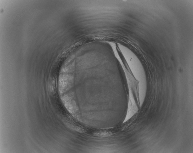 X0000068740503200605262054