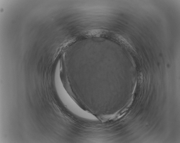 X0000068740504200605262054