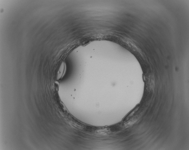 X0000068740505200605262054