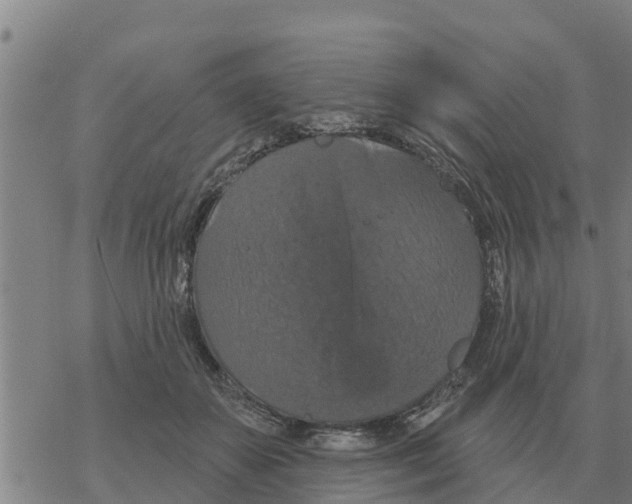 X0000068740507200605262054