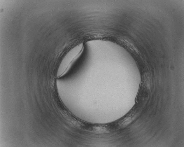 X0000068740509200605262054